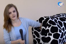 Провинциальная журналистка залезла в корову