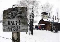Эксперты: Запад пытается сжечь Россию в топках Освенцима