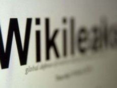 В правительстве хотят разобраться в подлинности документов WikiLeaks
