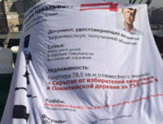 Москве показали настоящую декларацию Навального