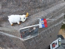 На могиле Немцова - ни цветка, запустение и игрушечный козлик