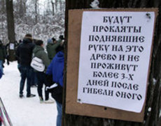 Защитники Химлеса крепили плакаты к деревьям гвоздями и железными тросиками