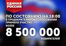 На предвыборах ЕР проголосовало 8.5 млн. россиян