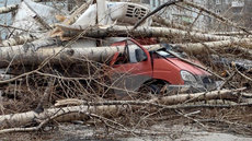 Глава Новокузнецка поблагодарил добровольцев в ликвидации последствий урагана и отдельно выделил бойцов ЧВК 