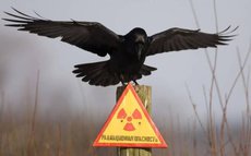 Спикеры оппозиции: Ничего, если радиация накроет Владивосток