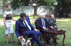 Саакашвили предпочел Маккейну пса
