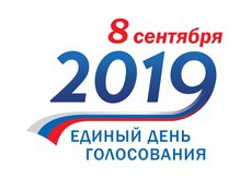 Член ОП РФ Григорьев положительно оценил Единый день голосования в Петербурге