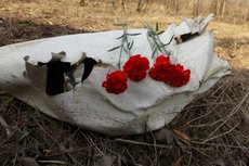 Почему Польша объявила гибель Качиньского терактом