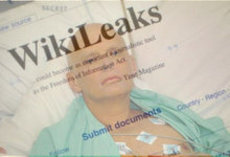 WikiLeaks: Россия следила за отравителями Литвиненко, британцы не дали их захватить