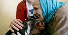 Собаки москвичей питаются лучше, чем пенсионеры в провинции
