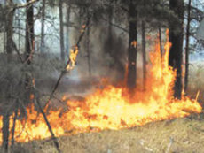 Главными темами 2010 года россияне считают аномальную жару и пожары