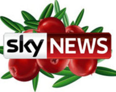 Sky News нашла в Москве предвыборную клюкву