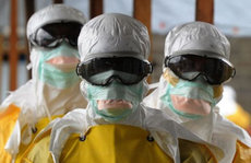 Вирусологи: Даже если Эбола придет в РФ, ее тут же остановят