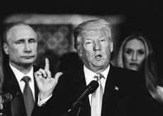 СМИ: Трамп встретится с Путиным на G20 несмотря на запрет элиты