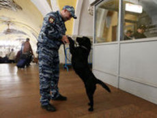 Россияне стали больше доверять полиции