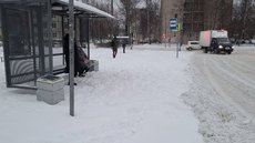 Политолог Карасёв о снежном коллапсе в Петербурге: Власти города некомпетентны