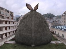 Огромный заяц перепугал пол-Смоленска