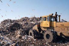 Эколог Виноградов: строительство завода НЭО по переработке мусора в Дубровке нельзя допускать