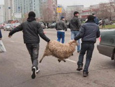 В Москве запретили резать баранов на Курбан-Байрам